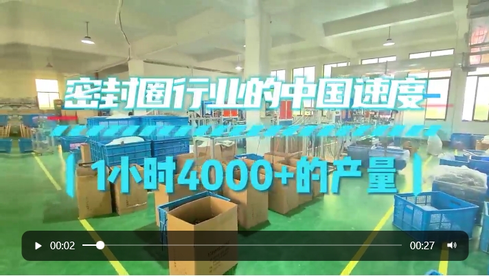 「视频」密封圈行业里的中国速度：1小时4000+的产量